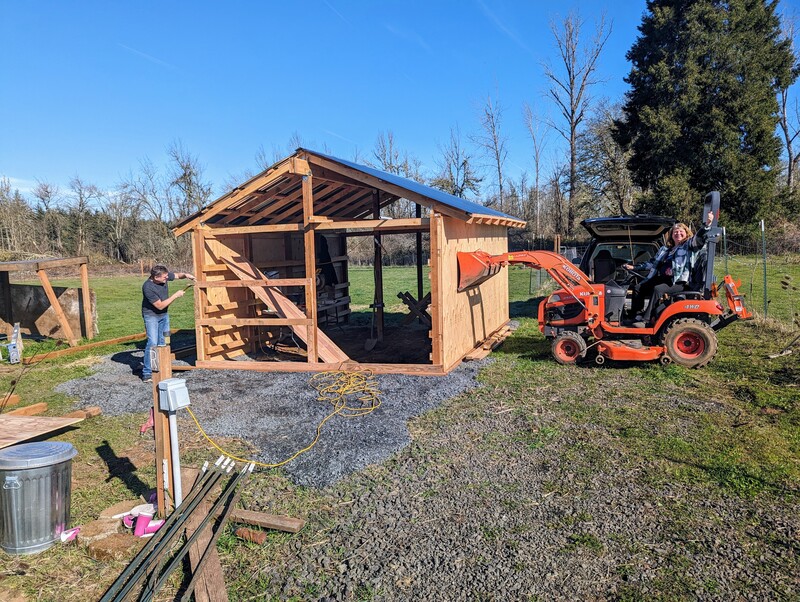 Squaring up the new sheep barn.  It was starting to lean slightly because no triangles. Hopefully that is solved now.