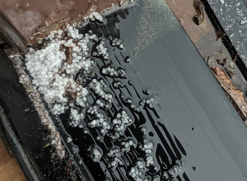 We enjoyed a few bouts of hail this week.