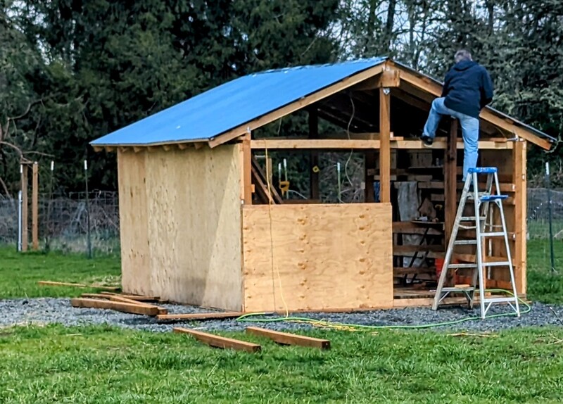 Joseph building the sheep barn.