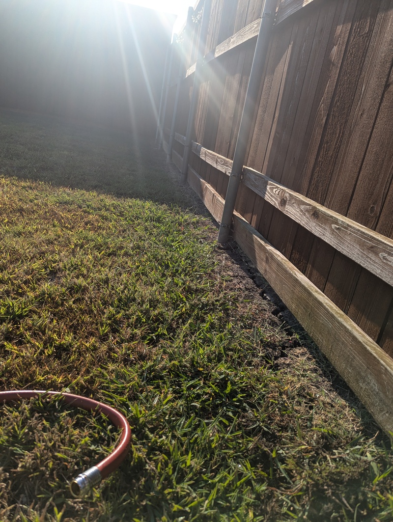 Future Garden along fence.