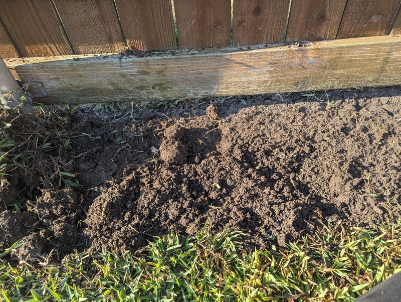 Future Garden along fence.