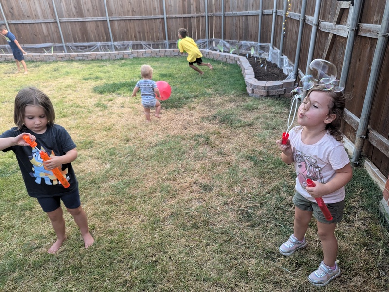 We had two bubble wands in the backyard. And three big balls.