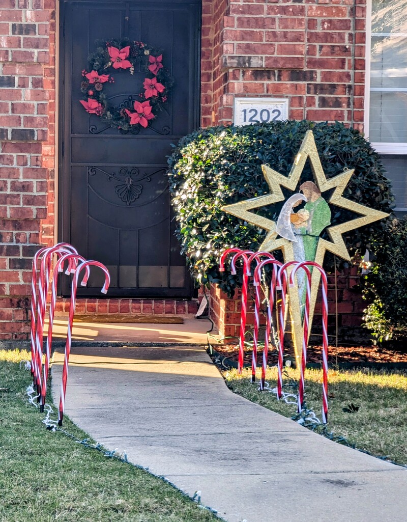 nativity in neighborhood.