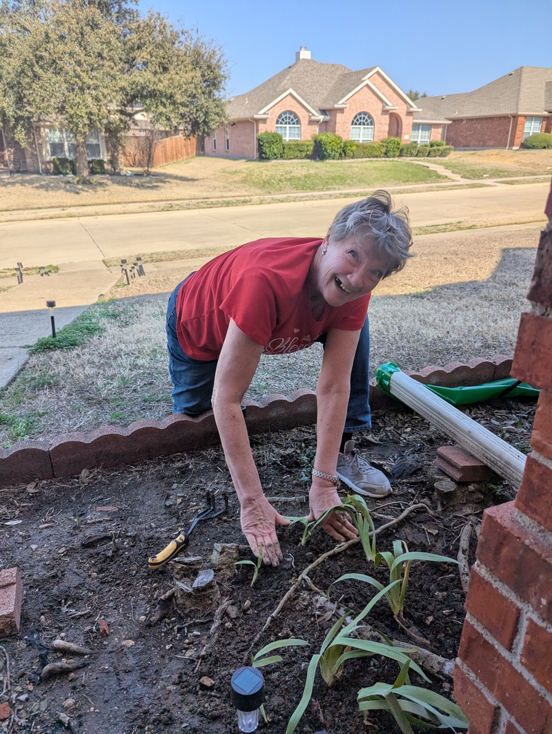 Laura is planting iris that a neighbor of a neighbor gave away and we got a bag full. 😁 Mystery colour.