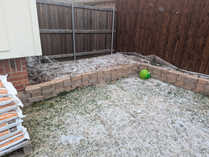 Frost on our backyard grass and garden.