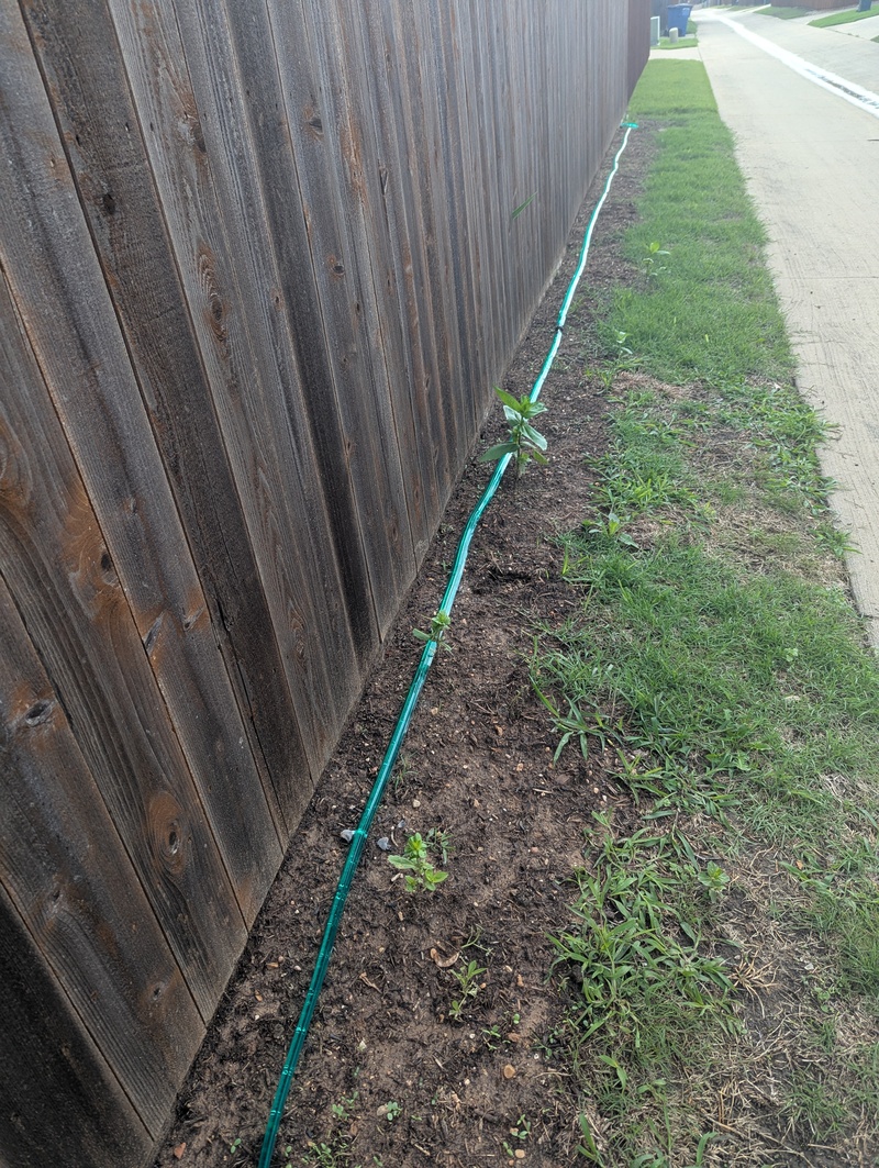 Sprinkler hose installed along our back alley.