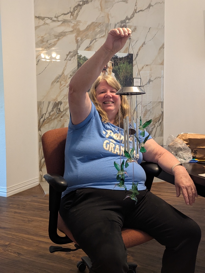 Larissa gave Lois a solar hanging hummingbird decoration.