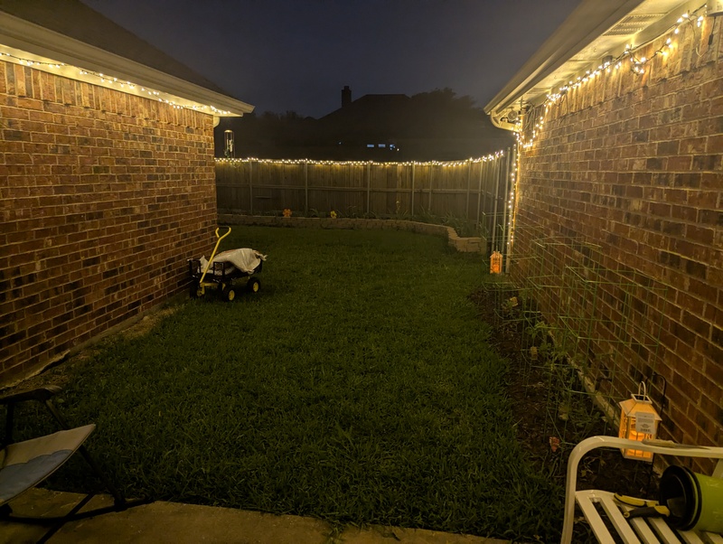 The backyard at night
