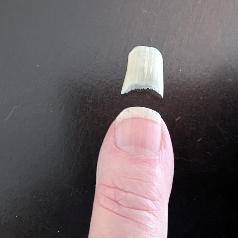 Whack. Can we photoshop it back into place? I told Don it had snapped off and he found it on the floor. I wasn't sure where it came off. 🤣🤣🤣