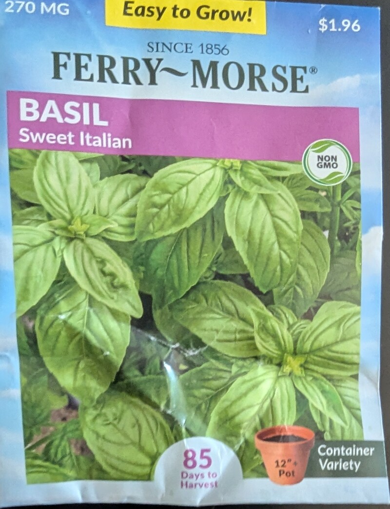 Basil, Sweet Italian. I have up on buying plants and spread seed. Hopefully it is the last vegetable seeds
