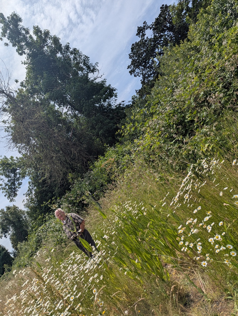 Dennis, out in our field 
Rosewold