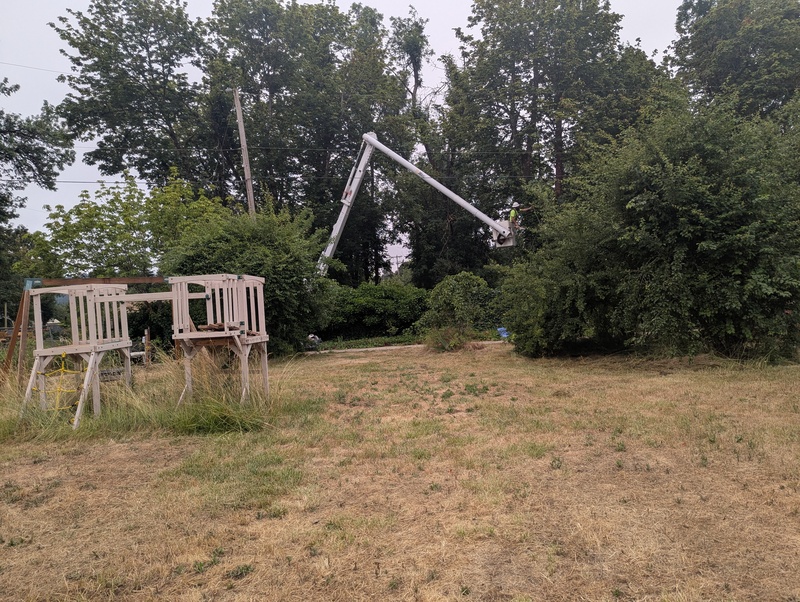 The electric company trimming the branches by the wires.