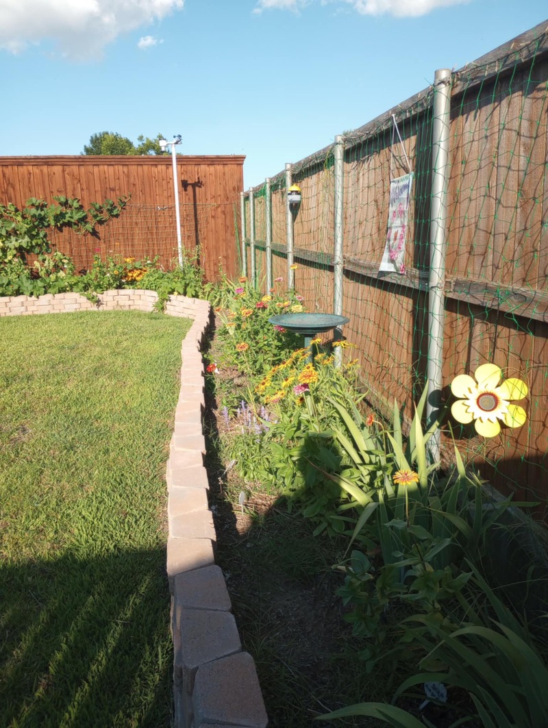 Texas Garden backyard (southeast corner)