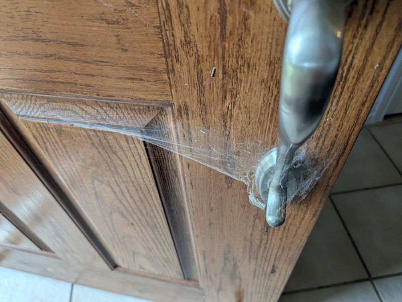 The spiders moved in while we were gone to Utah and Oregon..