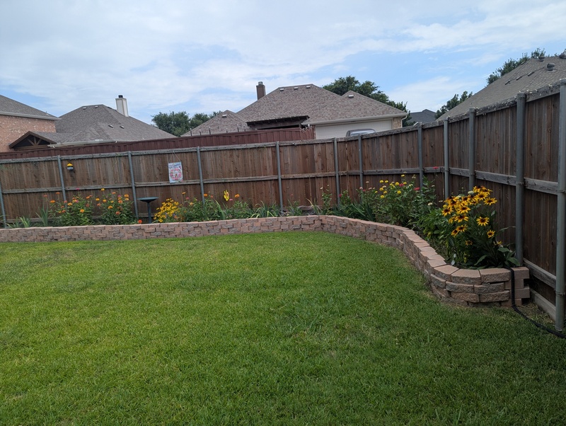 The backyard when we got home.  Grass looks nice.  Flowers look nice.