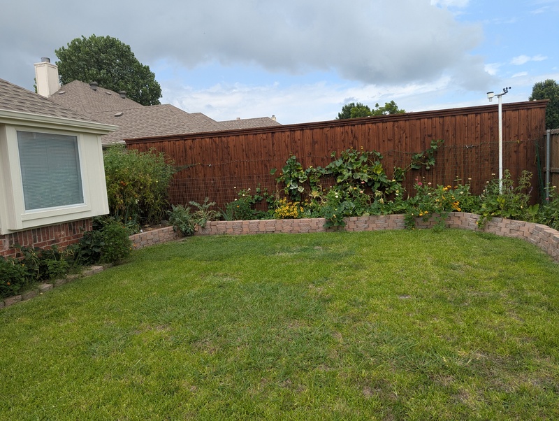 The backyard when we got home.  Vegetables look nice.