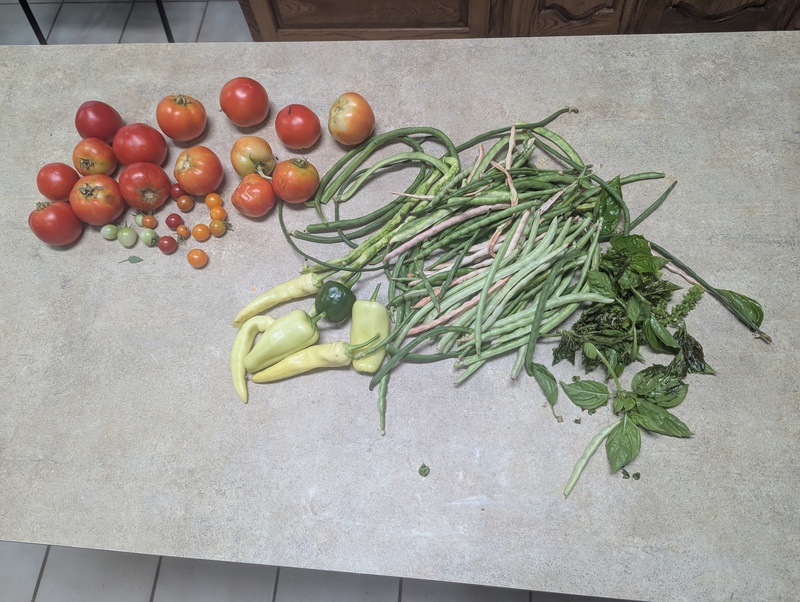 Produce harvest after getting home.