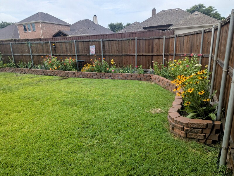 Backyard today after being home one week