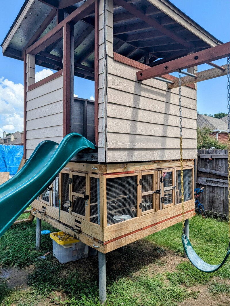 A few of Javier's birds under the play house.