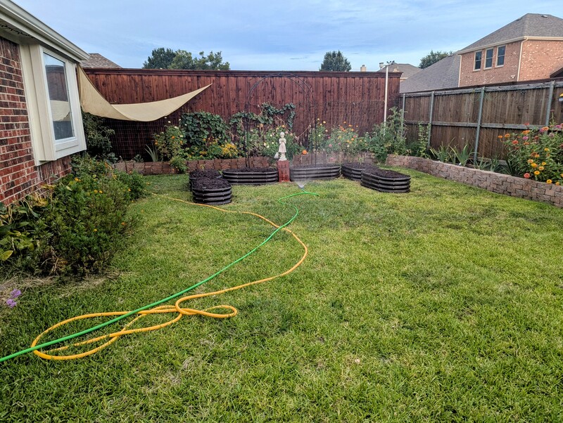 what the garden looks like at the end of the week.