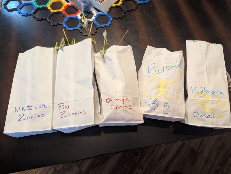 Lois started saving zinnia and rudbeckia flower seeds.