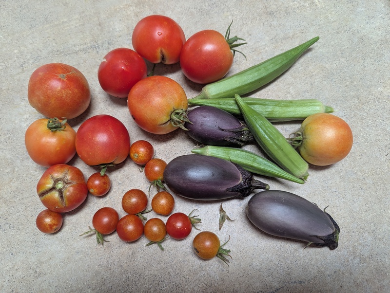 One day's harvest from our garden.