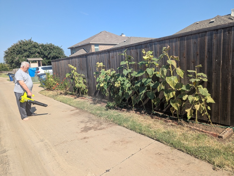 Don blowing dirt off the alleyway after weeding had been done.