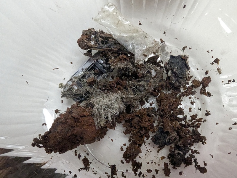 Don found this in the sink drain. Decomposed raisor blades and other crud.