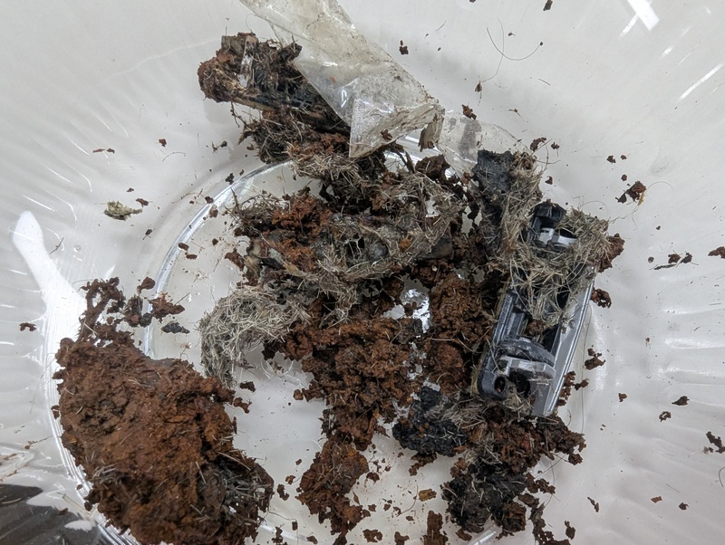 Don found this in the sink drain. Decomposed raisor blades and other crud.