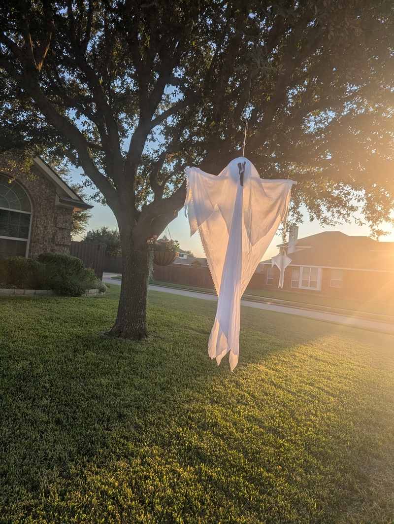 I thought the ghosts hanging from a tree were cute.