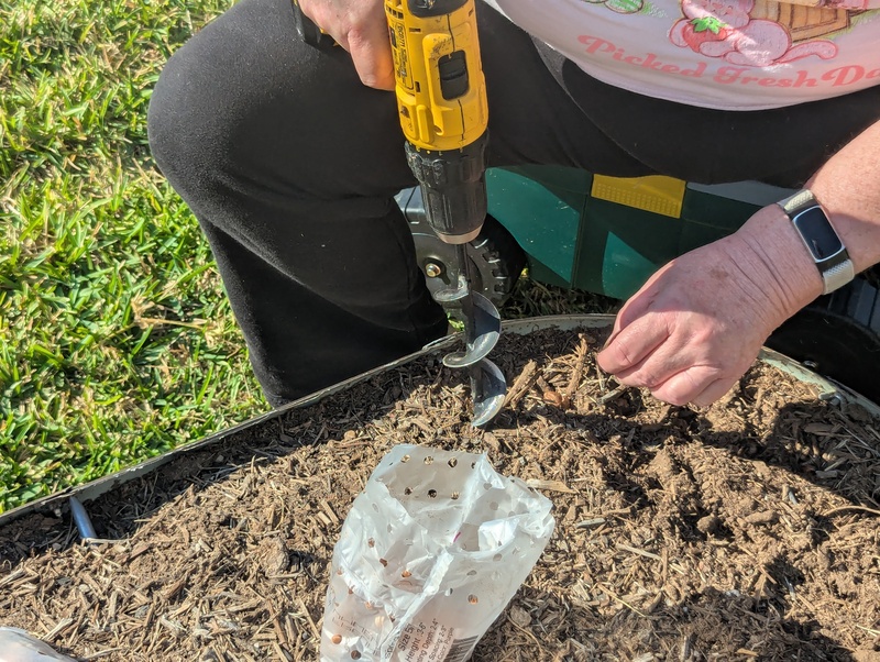 Lois planting bulbs.