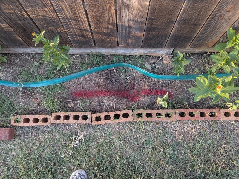 We had the utilities marked so Lois could plant bulbs.