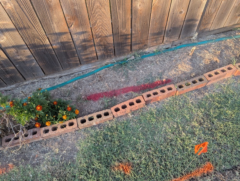 We had the utilities marked so Lois could plant bulbs.
