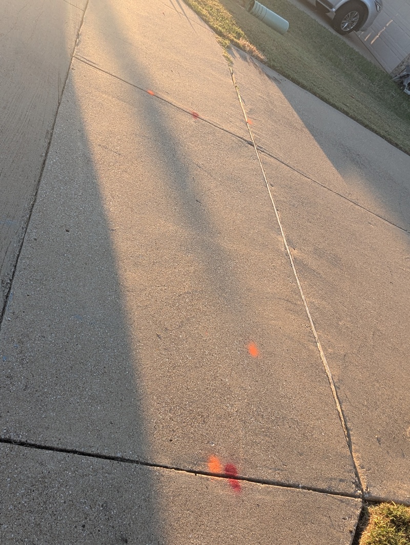 We had the utilities marked so Lois could plant bulbs.