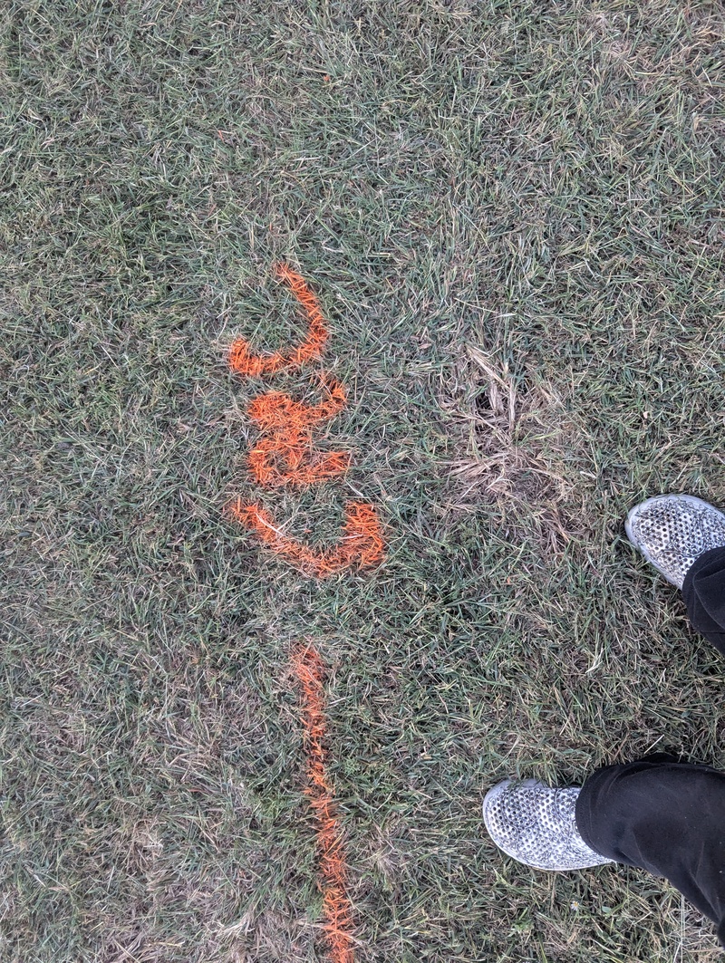 We had the utilities marked so Lois could plant bulbs.