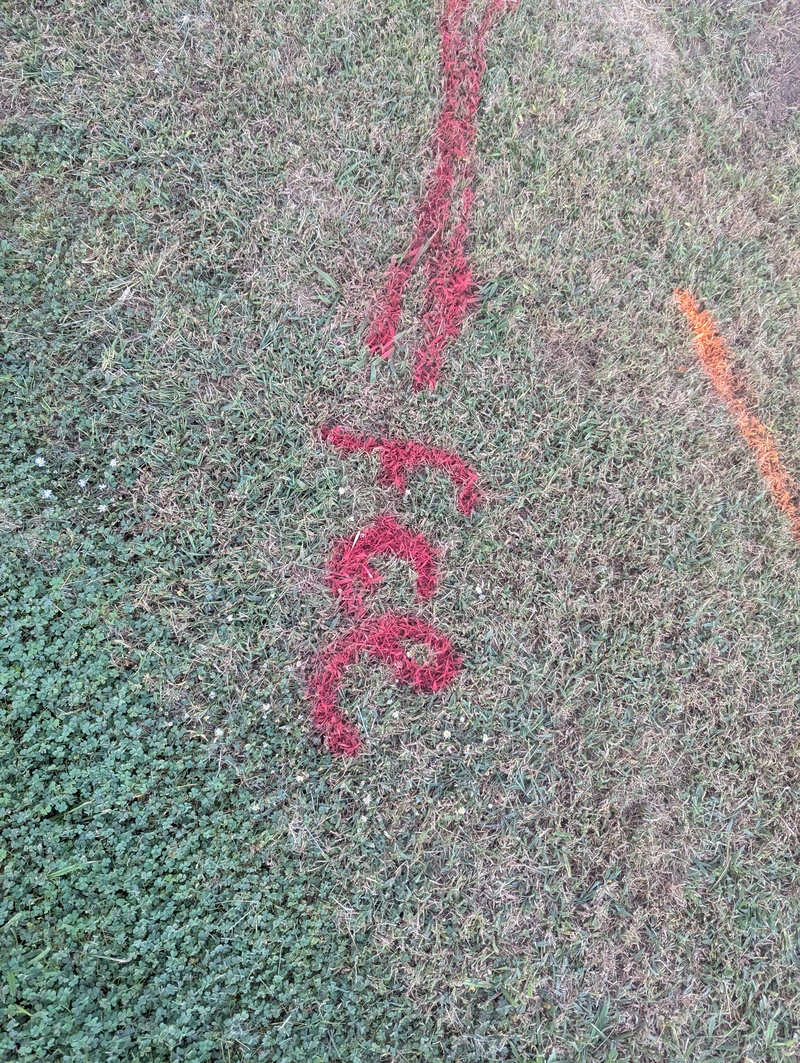 We had the utilities marked so Lois could plant bulbs.