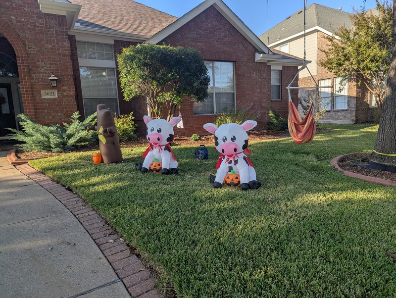 Halloween decorations