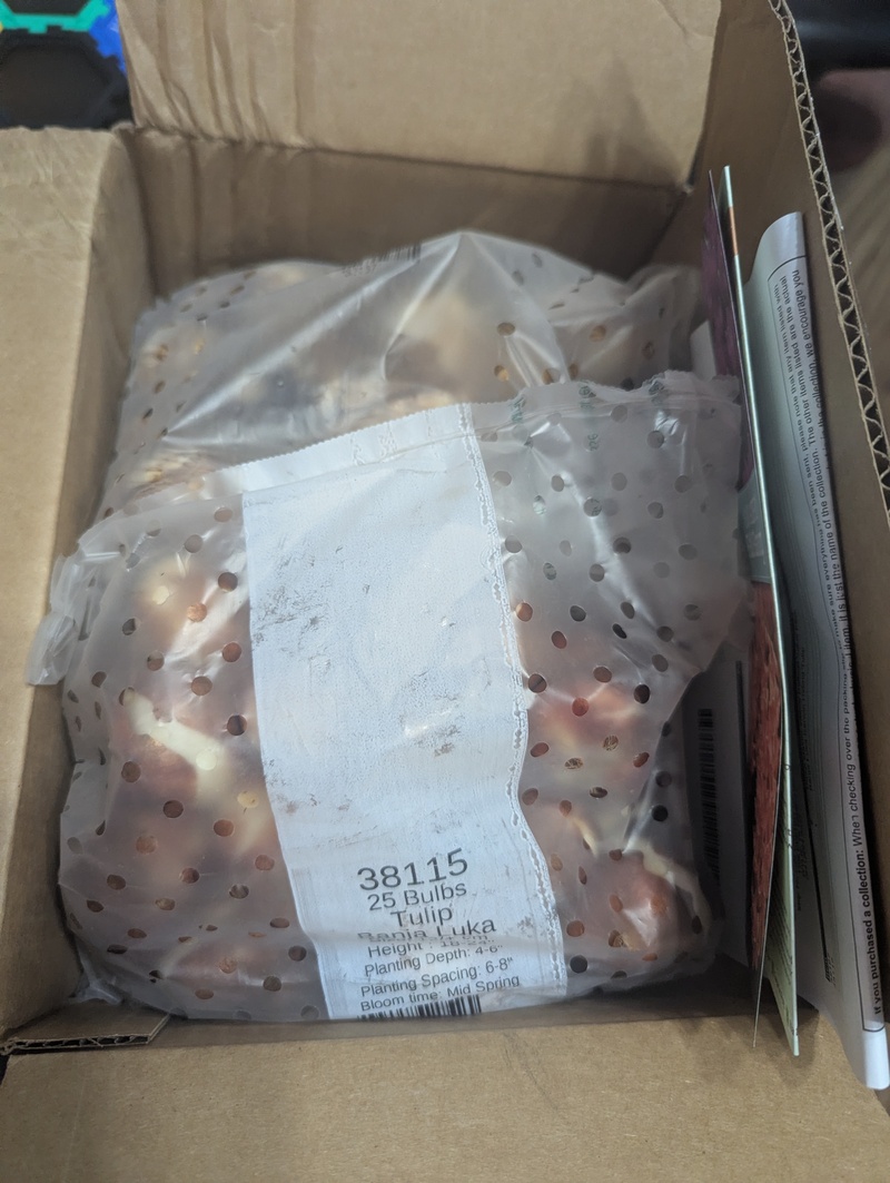 The last box of bulbs....I think. 🤣