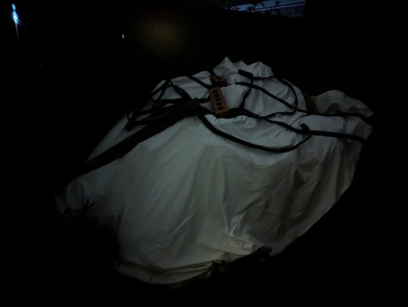 I covered a tomato plant. We shall see if it freezes.