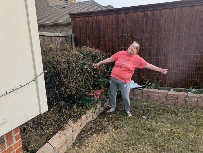 The tomato plants got cut down about half way. Next week I hope to get most of the rest in the dumpster.
