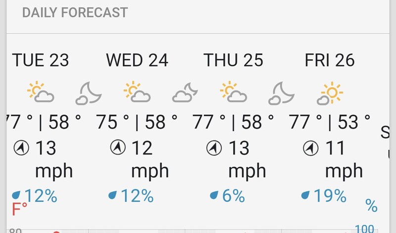 Saturday/Today we got to 80 and broke a record.
The daffodils aren't sure what to do.