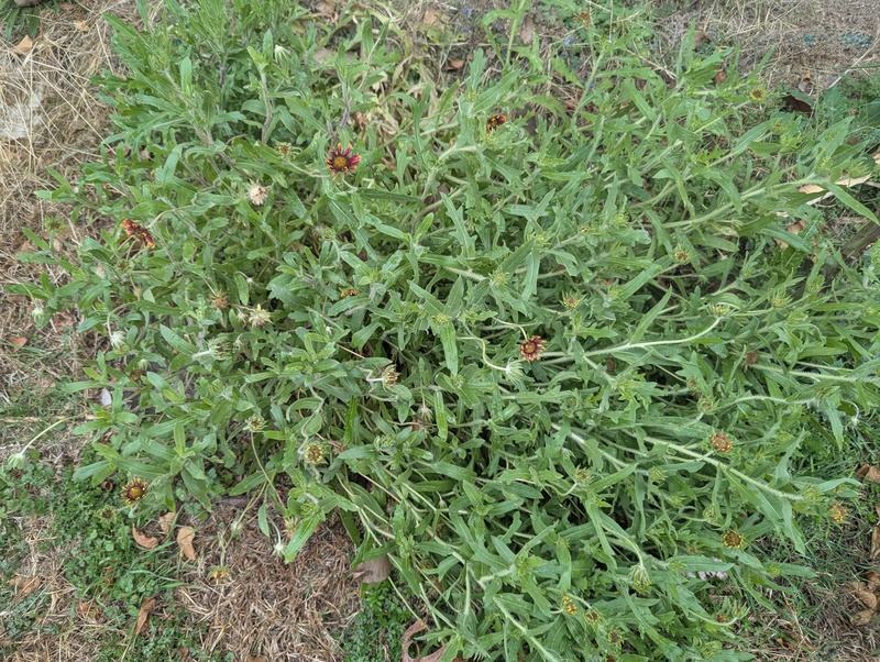 Before the winter storm