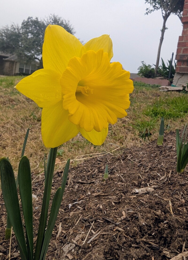 Before the winter storm