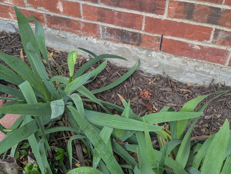 Before the winter storm