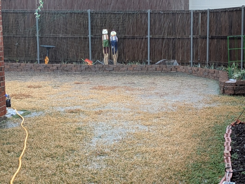 Flooding in the backyard. Didn't worry it went away quickly.