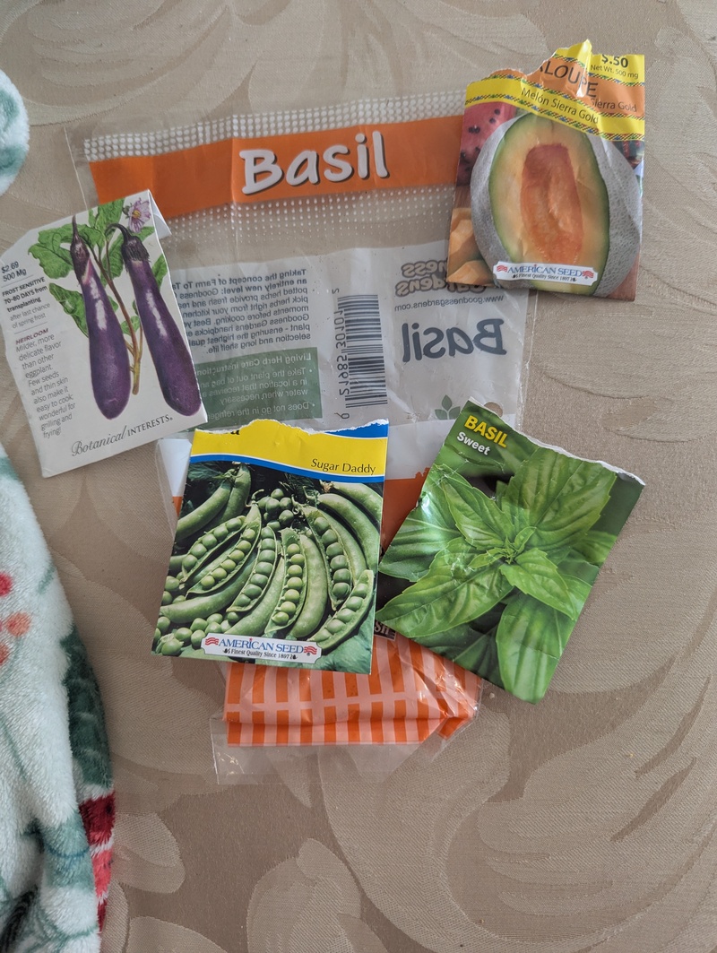 seeds that I planted this week
