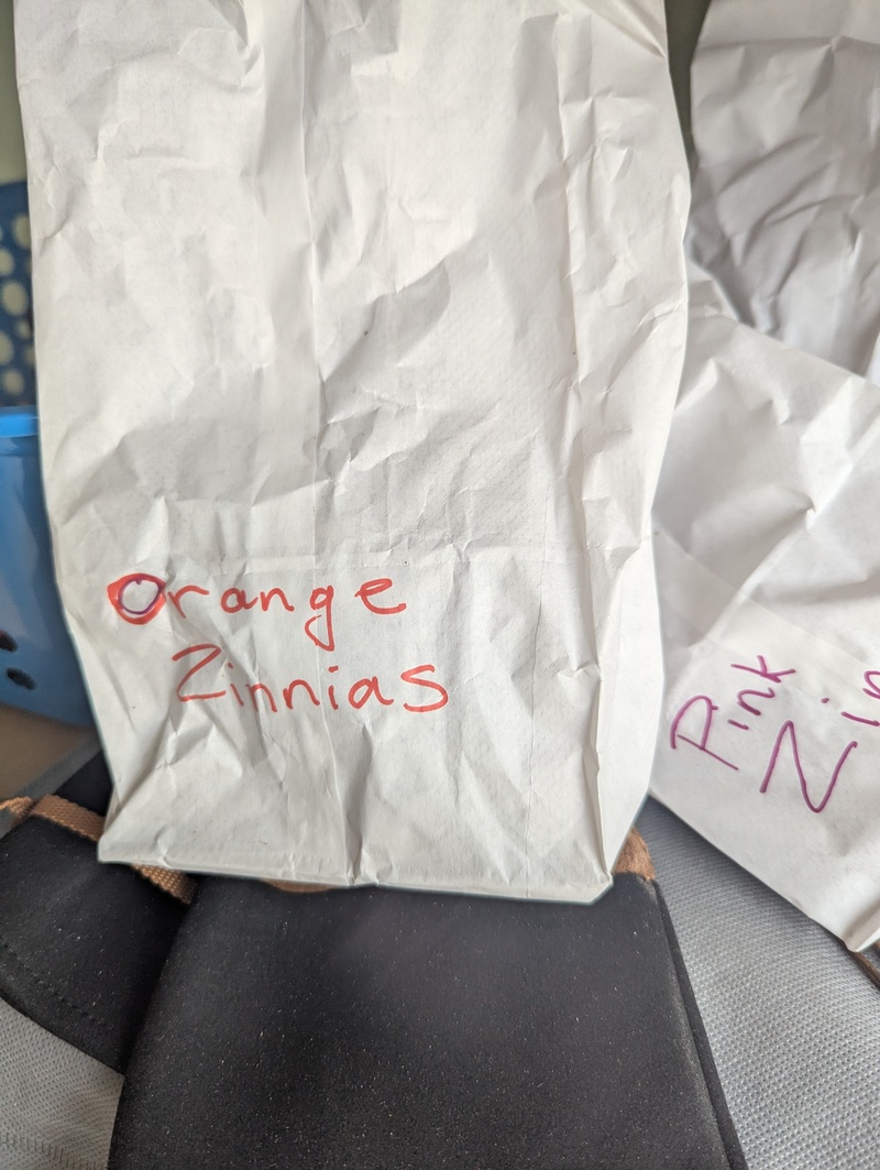 Lois did sprinkle zinnia seeds all over.