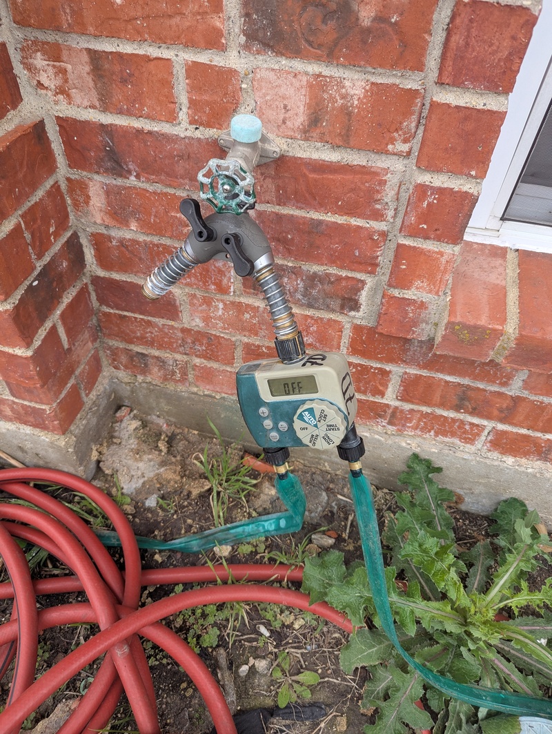 Don helped by hooking up the watering system that Lois designed for our front yard. Lois later replaced one of the hoses that Don said leaked.