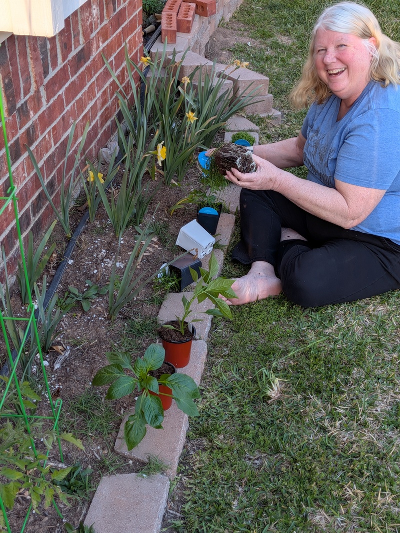 Lois is laughing at the roots.