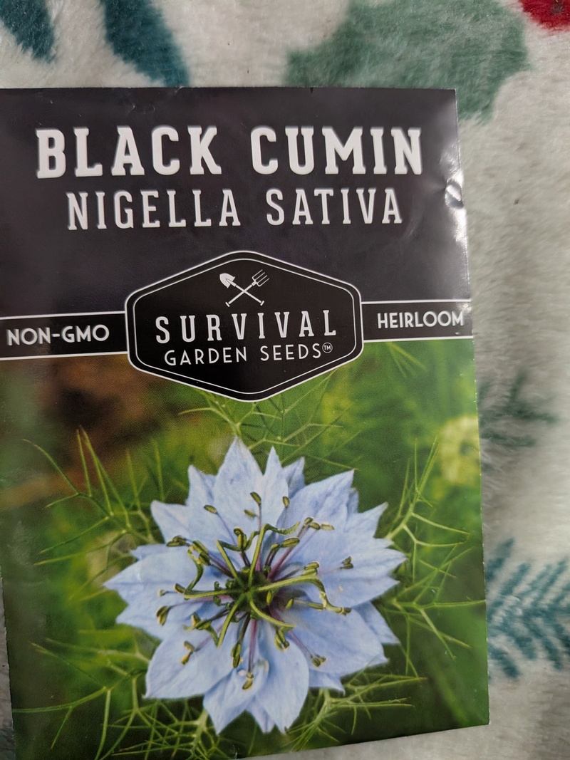 wild seeds for medicinal something